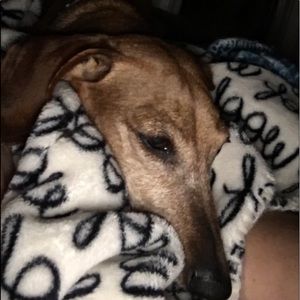 Meet your Posher, Nancy